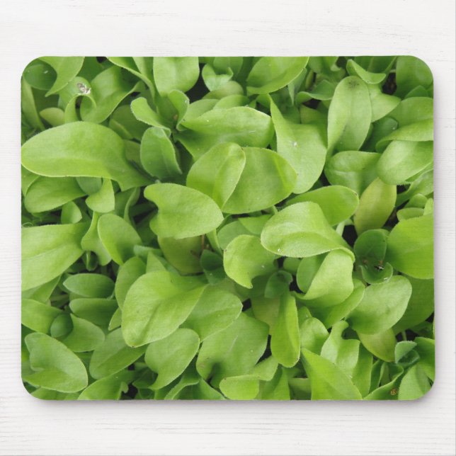 Marigold Seedlings Mousepad (Front)