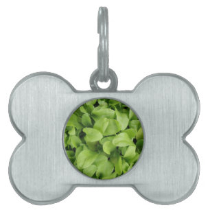 Marigold Seedlings Pet Tag