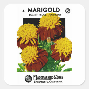 Marigold Square Sticker