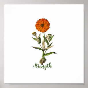 Marigold Strength Inspirational Poster