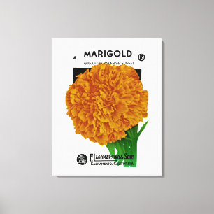 Marigold Vintage Seed Packet Canvas Print