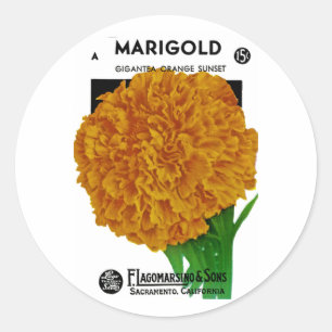 Marigold Vintage Seed Packet Classic Round Sticker