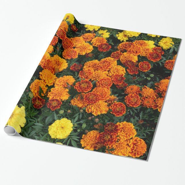 Marigold Wrapping Paper (Unrolled)