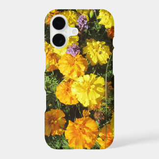 Marigolds