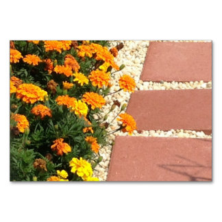 Marigolds Flowers Patio Pavers Reading Flashcards Table Number