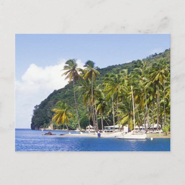 Marigot Bay, St. Lucia, Caribbean Postcard (Front)
