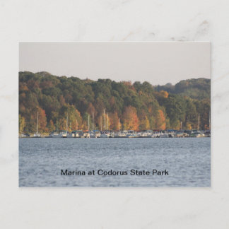 Marina at Codorus State Park Postcard