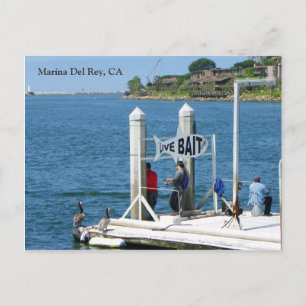 Marina Del Rey Fishing Postcard! Postcard
