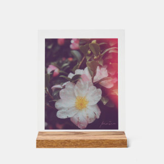 MARINA FILM ART ACRYLIC SIGN