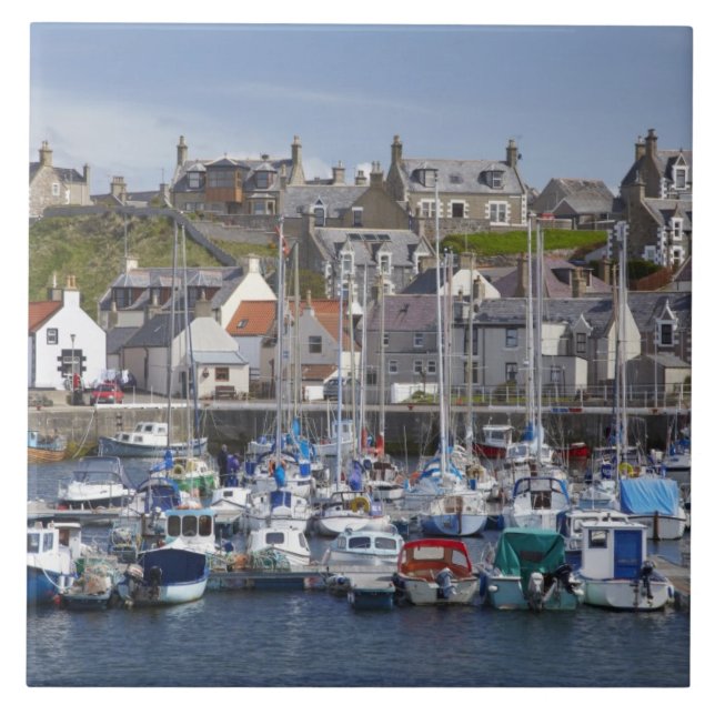 Marina, Findochty, Moray, Scotland, United Tile (Front)