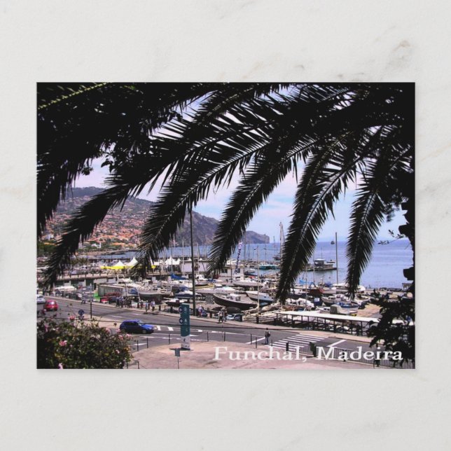 Marina view @ Funchal Postcard (Front)