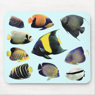 Marine Angelfishのマウスパッド,No.01 Mouse Mat