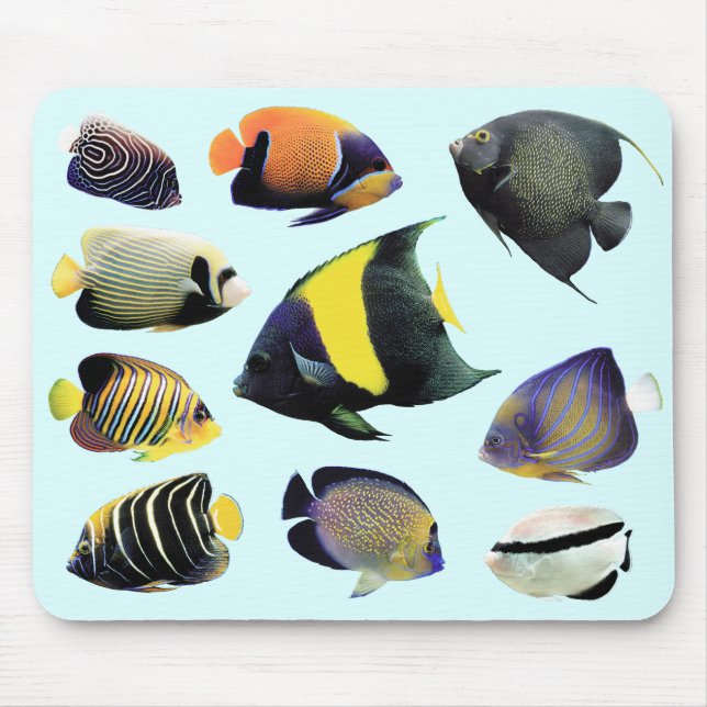 Marine Angelfishのマウスパッド,No.01 Mouse Mat (Front)