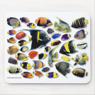 Marine angelfish mouse mat