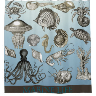 Marine Animal Life Shower Curtain