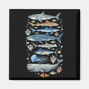 Marine Biology Sea Species Shark Whale Ocean Life Magnet