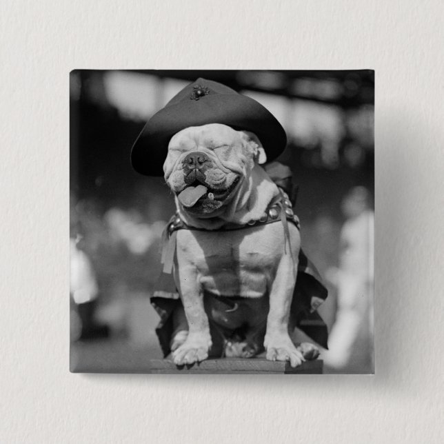 Marine Corps Mascot, 1920s 15 Cm Square Badge (Front)