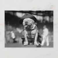 Marine Corps Mascot, 1920s