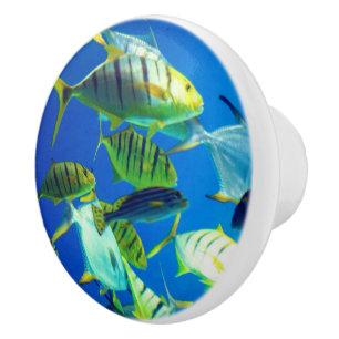 Marine Fish of Yellow with Black Stripes Ceramic Knob
