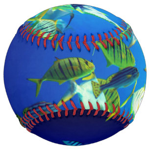 Marine Fish of Yellow with Black Stripes Softball