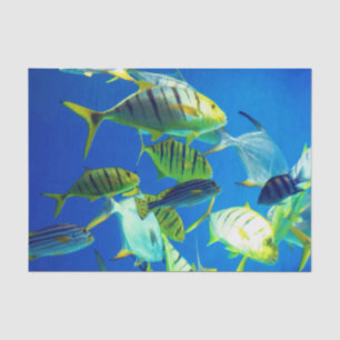 Marine Fish of Yellow with Black Stripes Tissue Paper