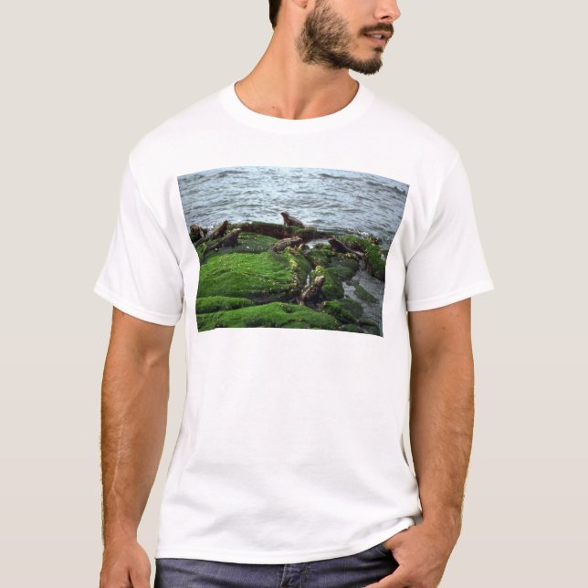 Marine Iguana Colony T-Shirt (Front)