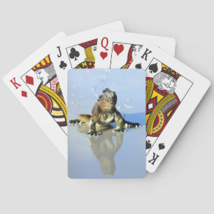 Marine iguana Galapagos Playing Cards