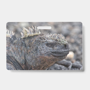 Marine Iguana ID Badge