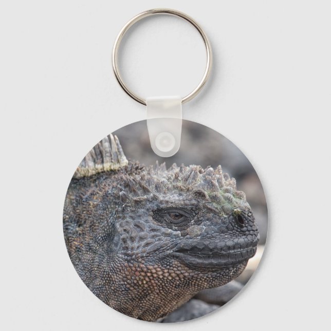 Marine Iguana Key Ring (Front)