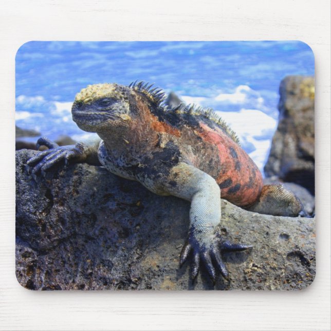 Marine Iguana Mouse Mat (Front)