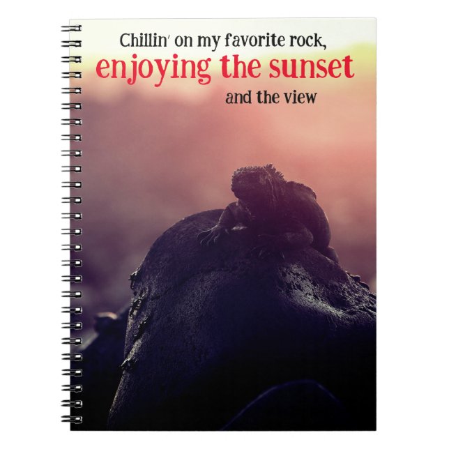Marine iguana sunbathing notebook (Front)