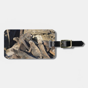 Marine iguanas on volcanic rock, Galapagos Islands Luggage Tag