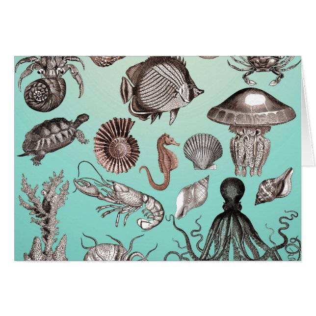 Marine Life (Front Horizontal)