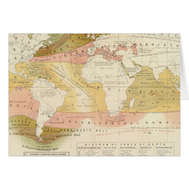 Marine life (Front Horizontal)