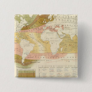 Marine life 15 cm square badge