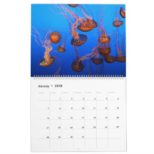 Marine life calendar