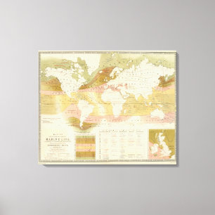 Marine life canvas print