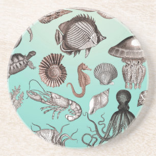 Marine Life Coaster