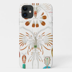 Marine Life Crustaceans, Copepoda by Ernst Haeckel iPhone 11 Case
