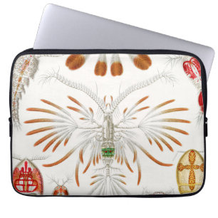 Marine Life Crustaceans, Copepoda by Ernst Haeckel Laptop Sleeve