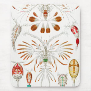Marine Life Crustaceans, Copepoda by Ernst Haeckel Mouse Mat