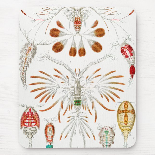 Marine Life Crustaceans, Copepoda by Ernst Haeckel Mouse Mat (Front)
