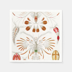 Marine Life Crustaceans, Copepoda by Ernst Haeckel Napkin