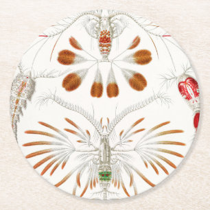 Marine Life Crustaceans, Copepoda by Ernst Haeckel Round Paper Coaster