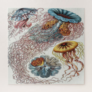 Marine life illustration - Ernst Haeckel Jigsaw Puzzle