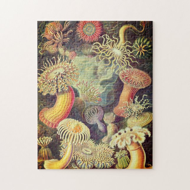 Marine Life Jigsaw Puzzle (Vertical)
