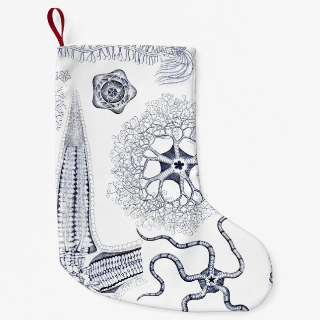 Marine Life / Marine Biology Strange Sea Creatures Small Christmas Stocking (Front)