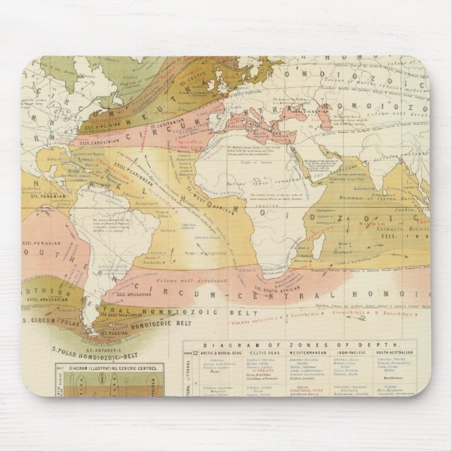 Marine life mouse mat (Front)