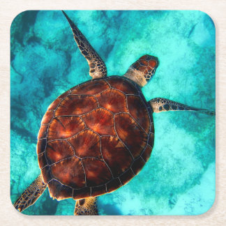Marine Life Sea Turtle Square Paper Coaster