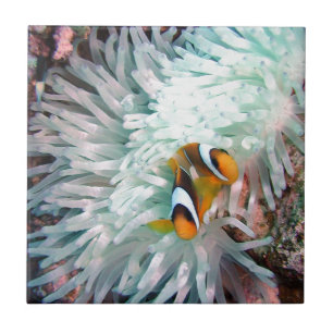 Marine Life Tile